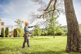 Best Tree Health Inspection  in Fairdale, PA